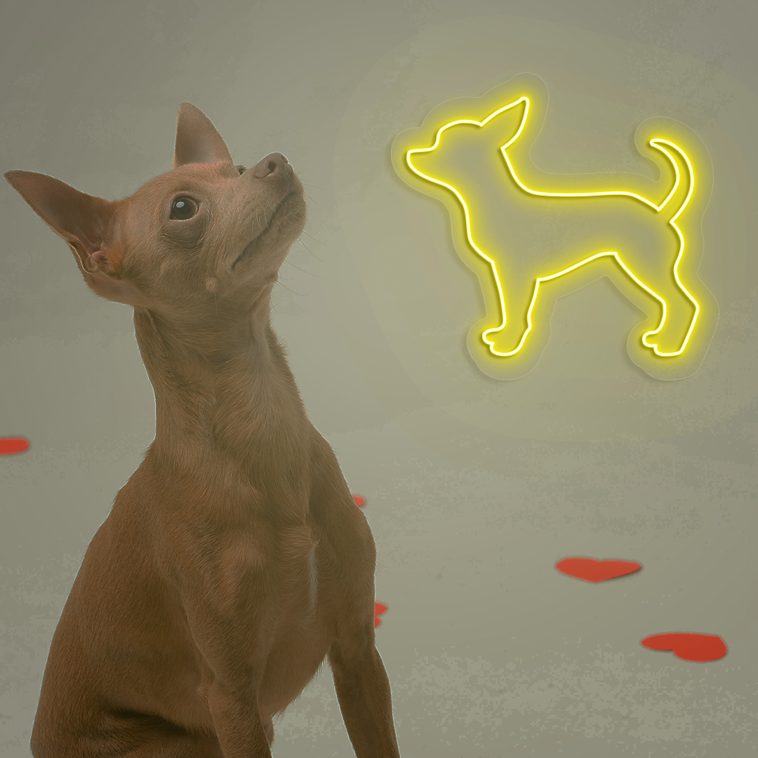 Chihuahua Neon Sign | Yellow