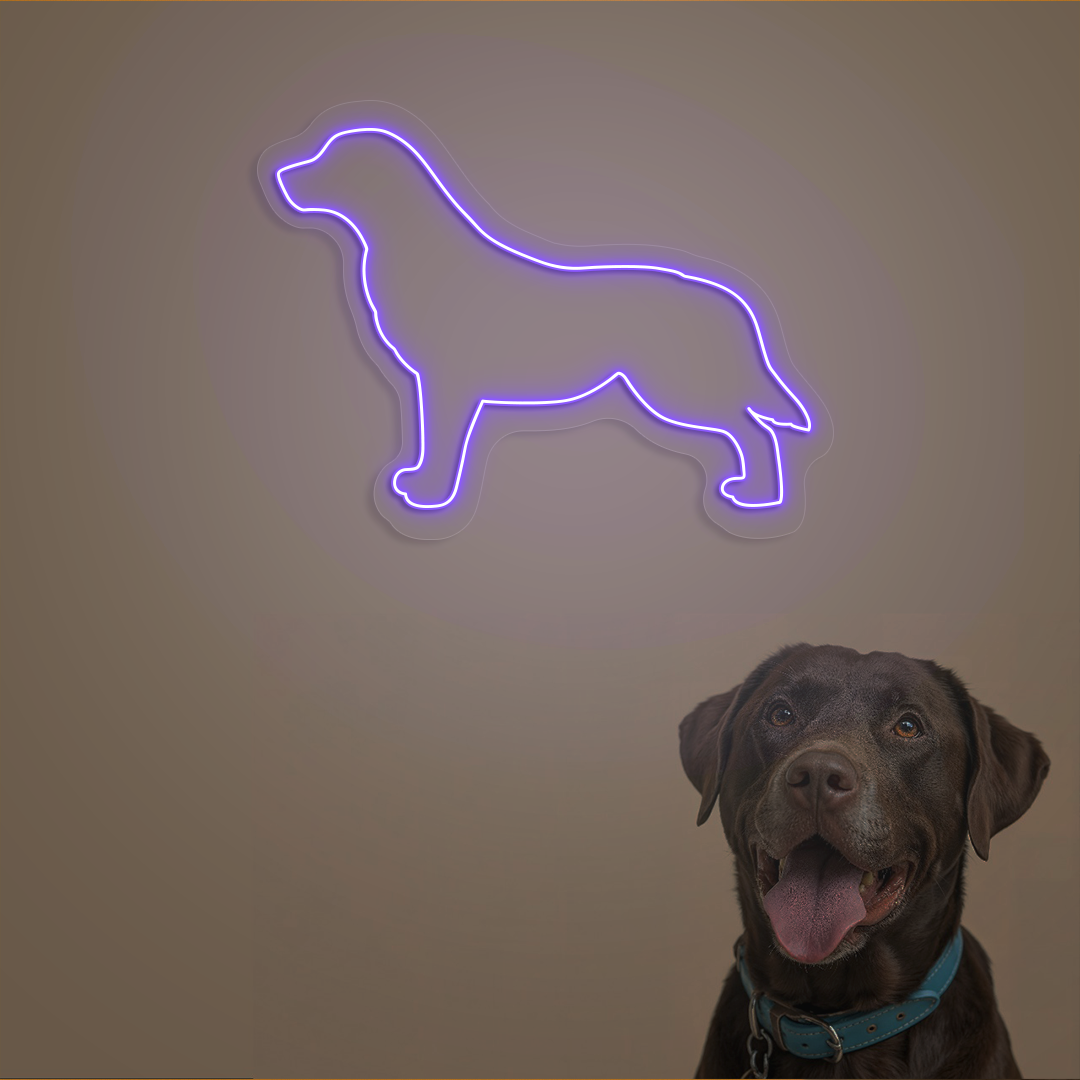 Labrador Neon Sign | Purple
