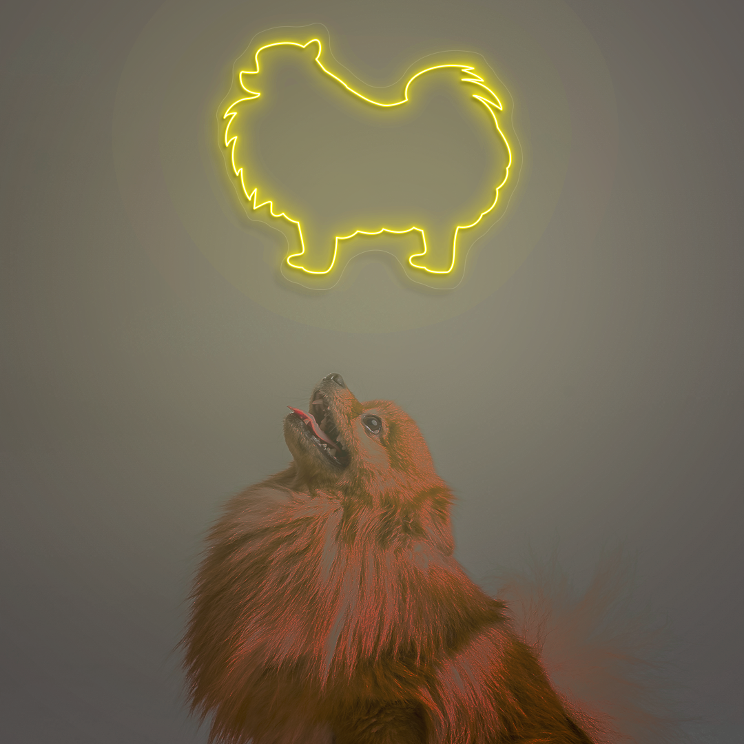 Pomeranian Neon Sign | Yellow