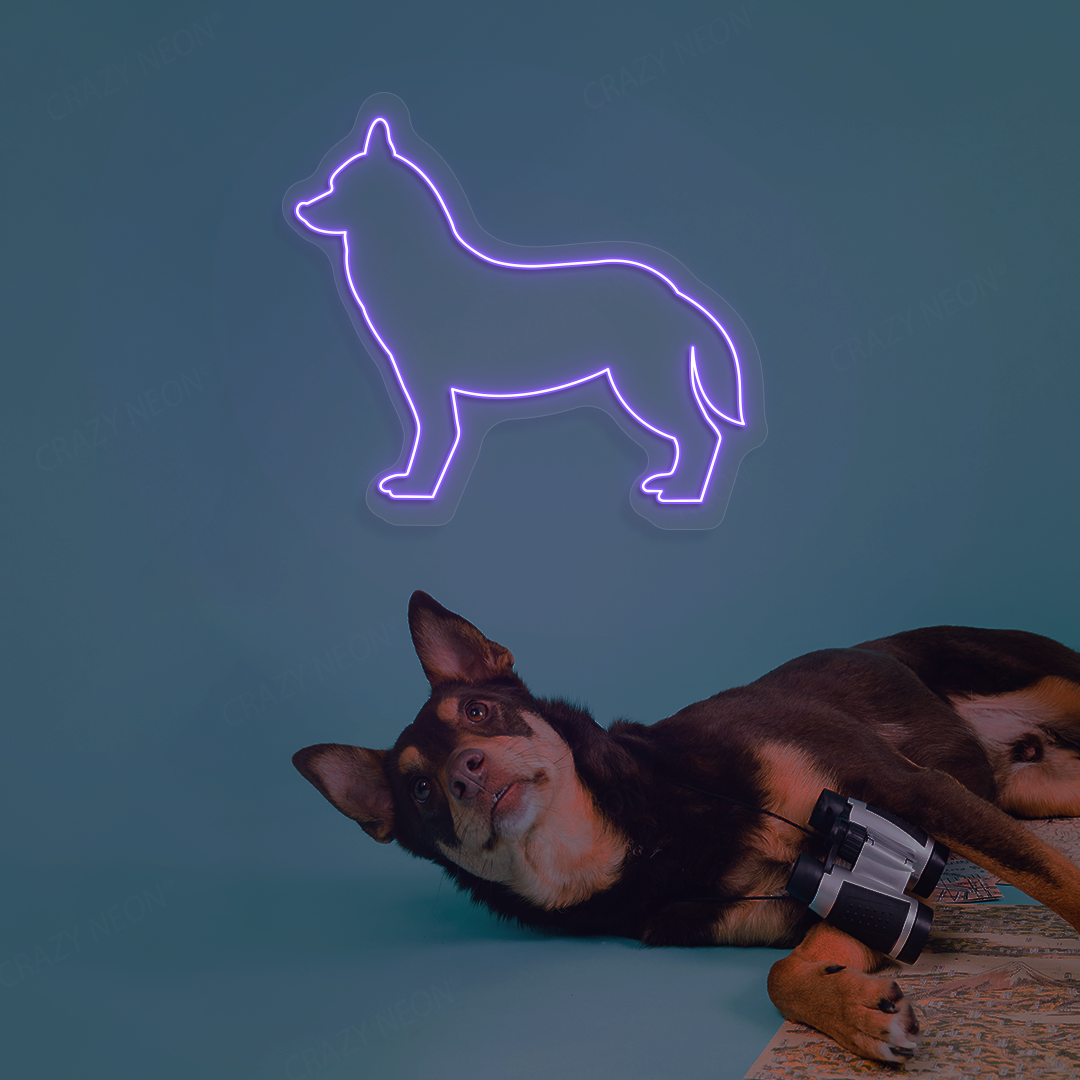 Husky Neon Sign | Purple