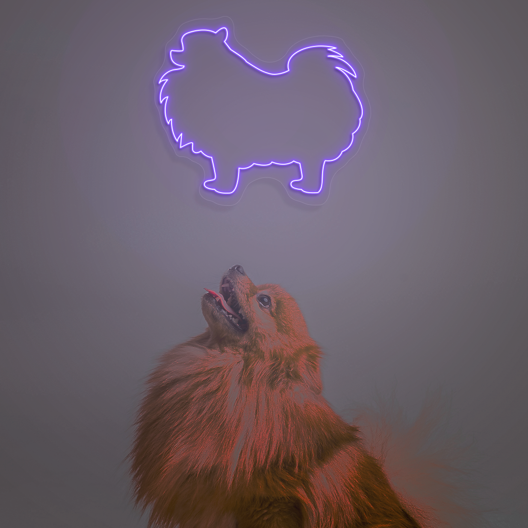 Pomeranian Neon Sign | Purple