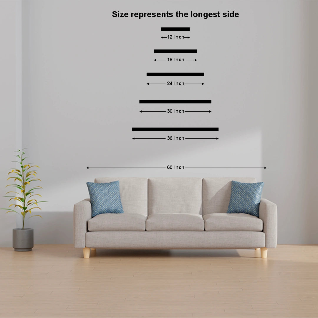 Size Comparison Layout
