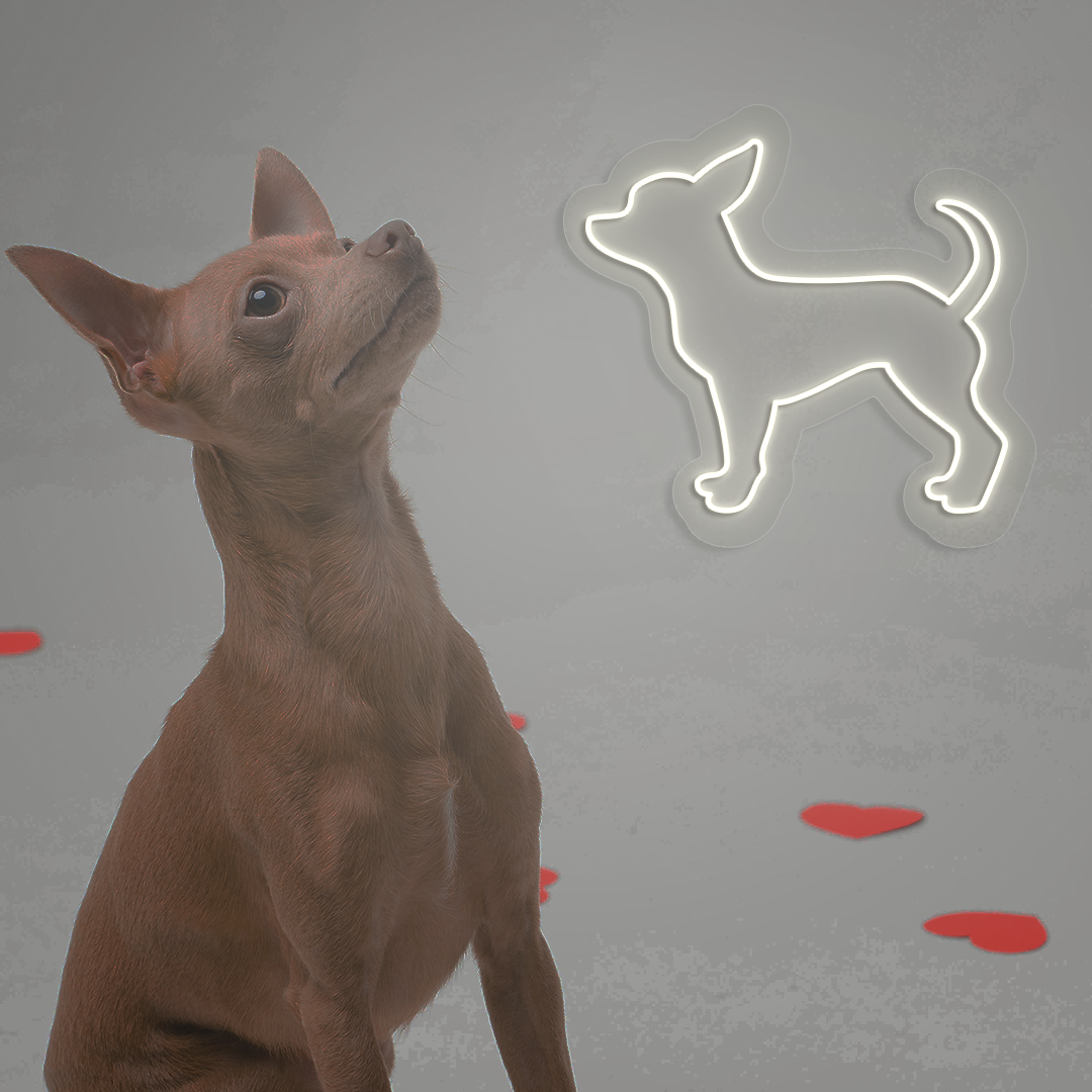 Chihuahua Neon Sign | Warmwhite