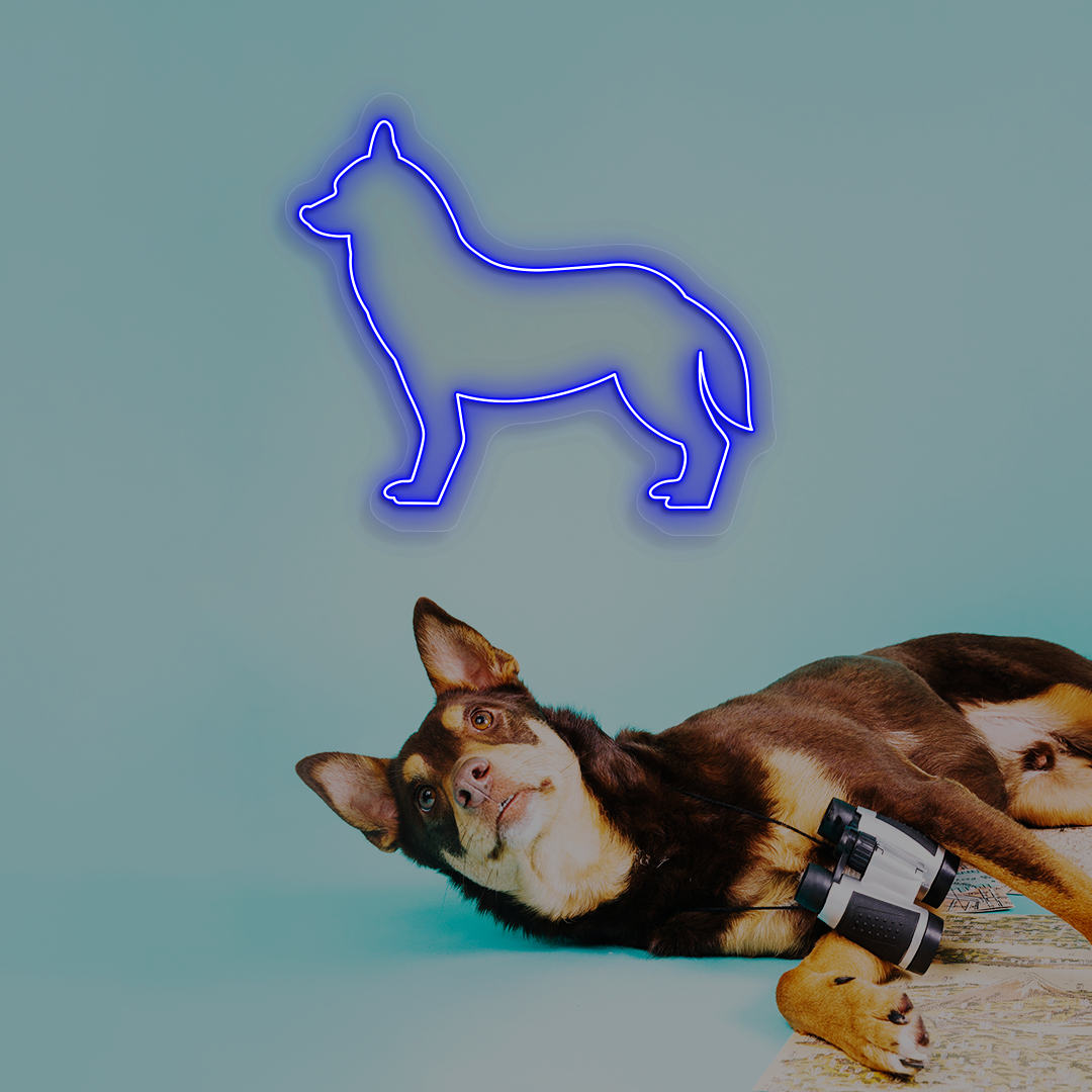Husky Neon Sign | Blue
