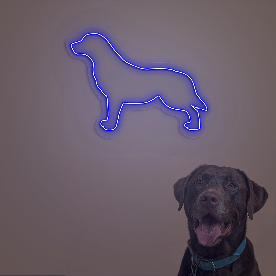 Labrador Neon Sign | Blue