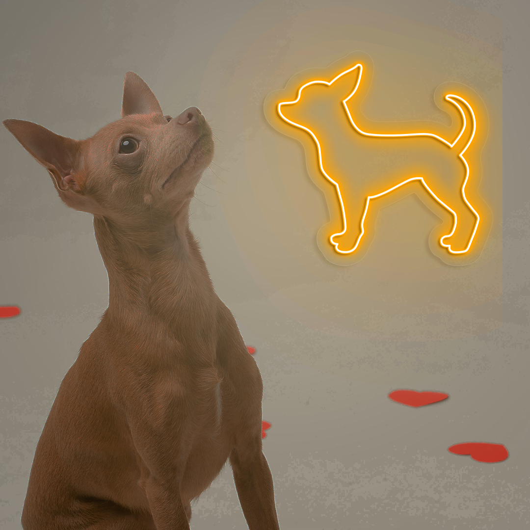 Chihuahua Neon Sign | Orange