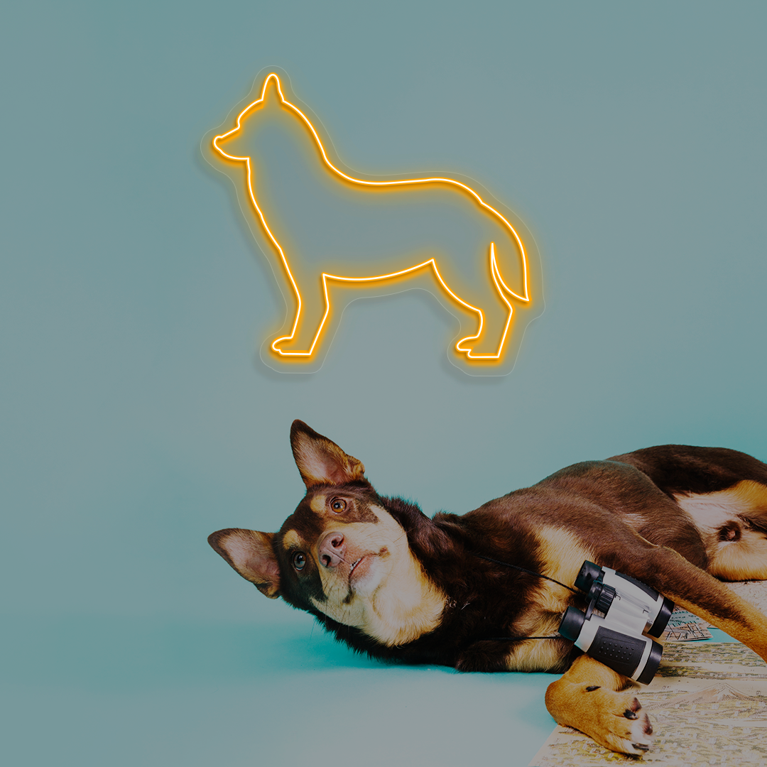 Husky Neon Sign | Orange