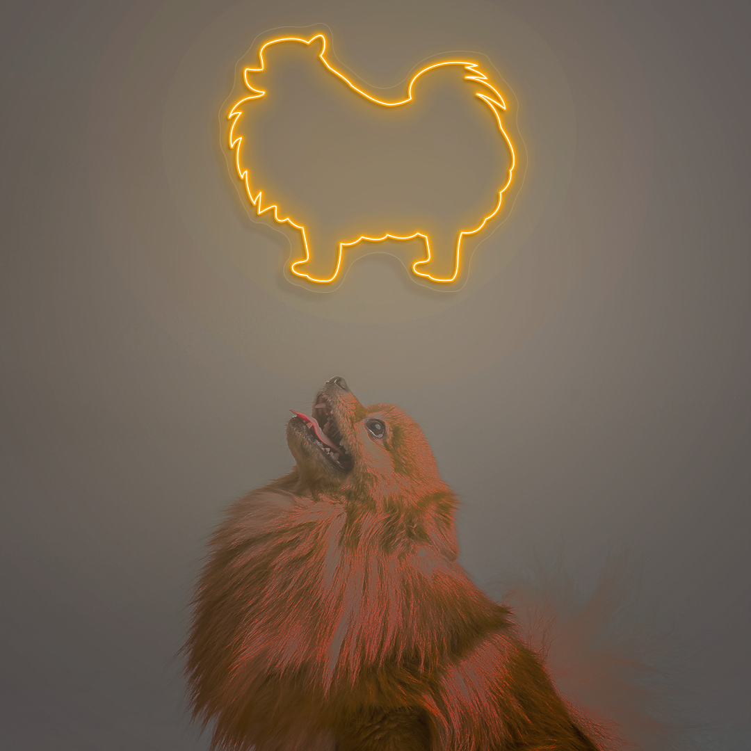 Pomeranian Neon Sign | Orange