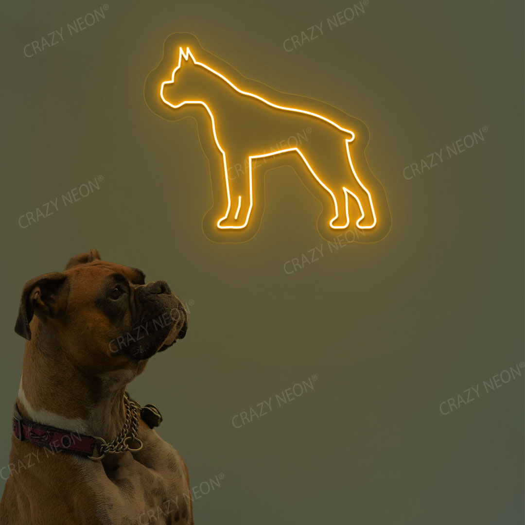 Boxer Dog Neon Sign | Orange