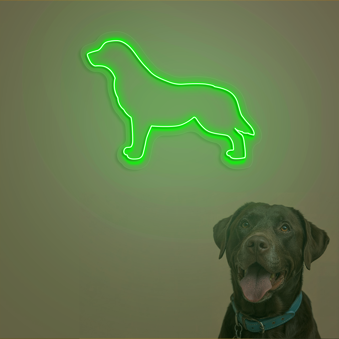 Labrador Neon Sign | Green