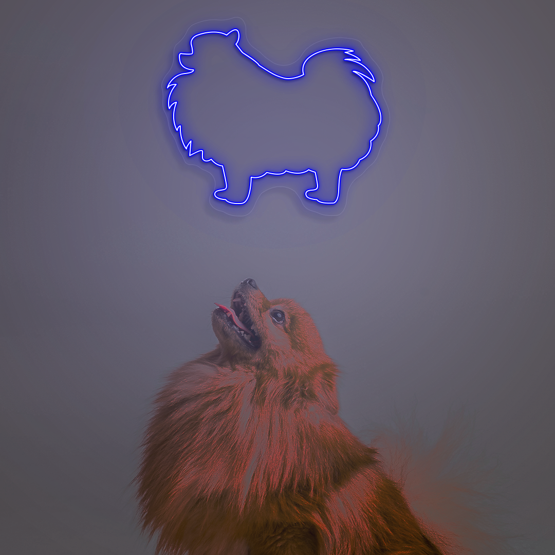 Pomeranian Neon Sign | Blue