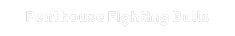 CN LED NEON: Penthouse Fig...