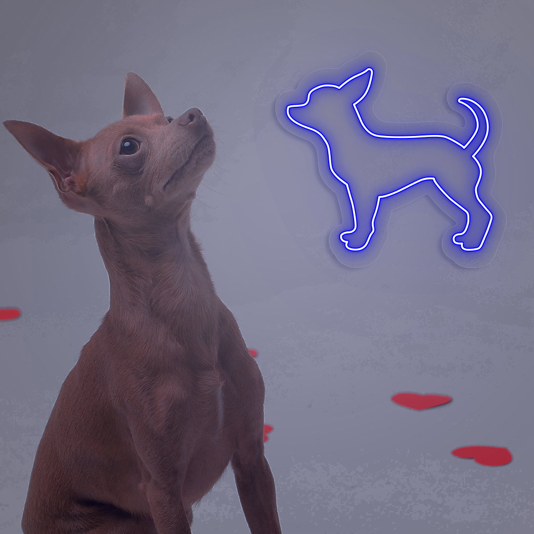 Chihuahua Neon Sign | Blue