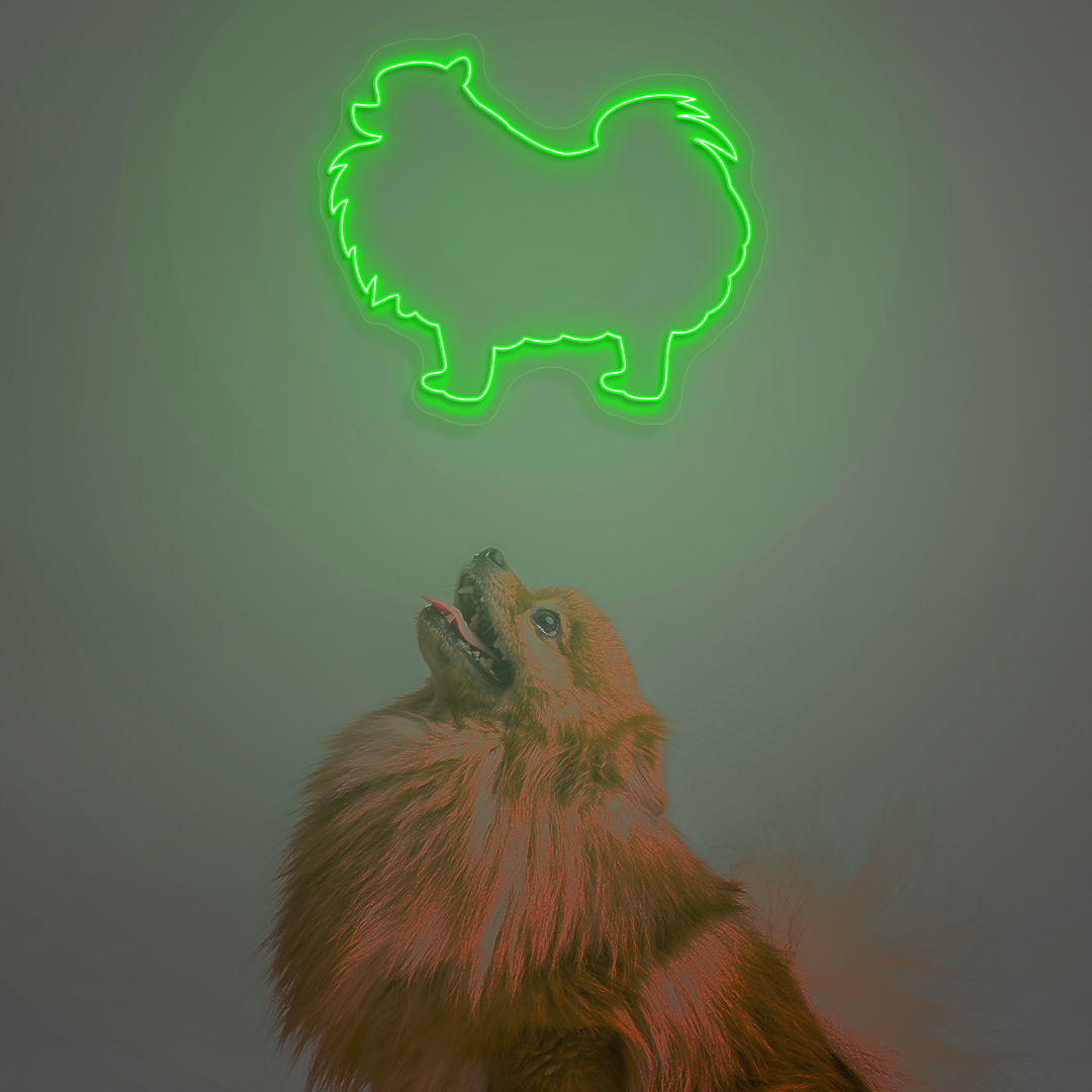 Pomeranian Neon Sign | Green