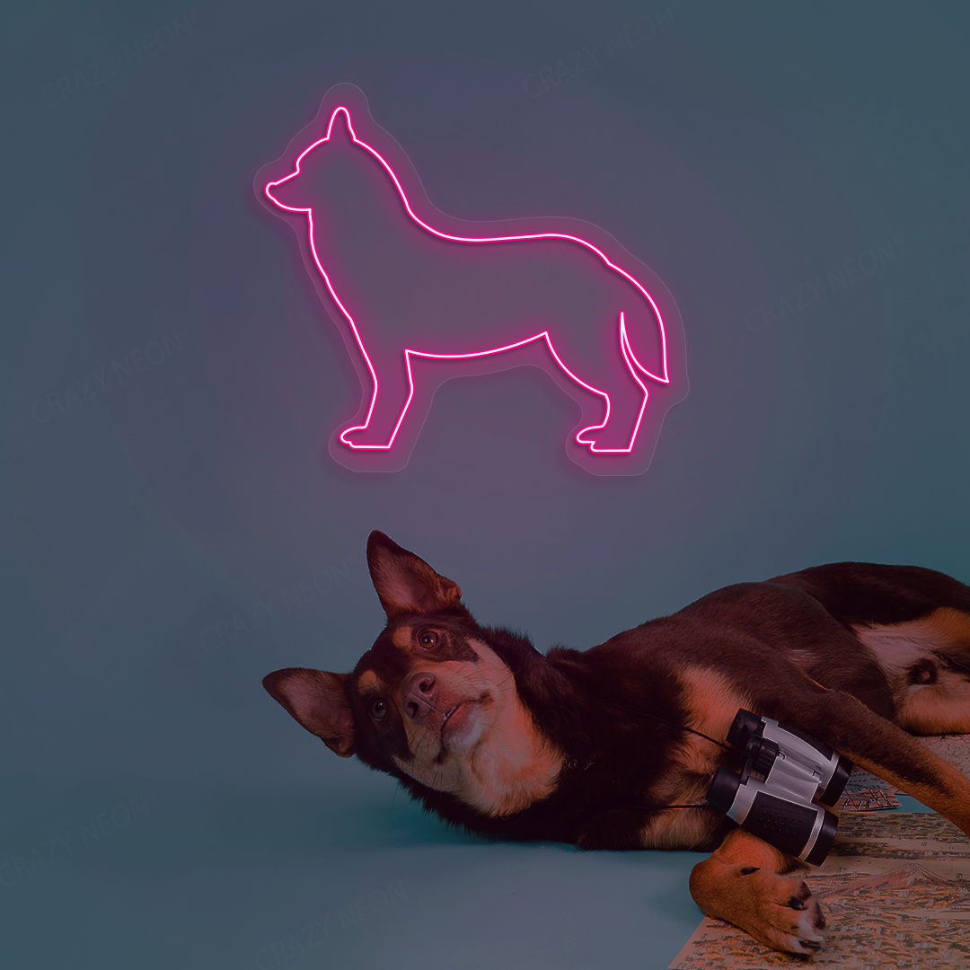 Husky Neon Sign | Pink