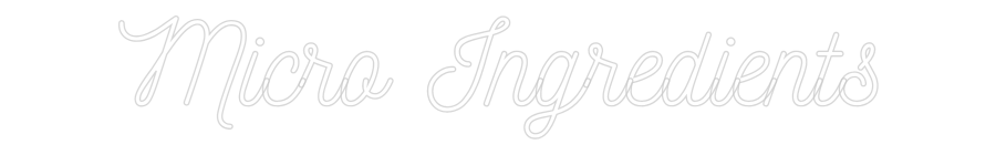 CN LED NEON: Micro Ingredi...