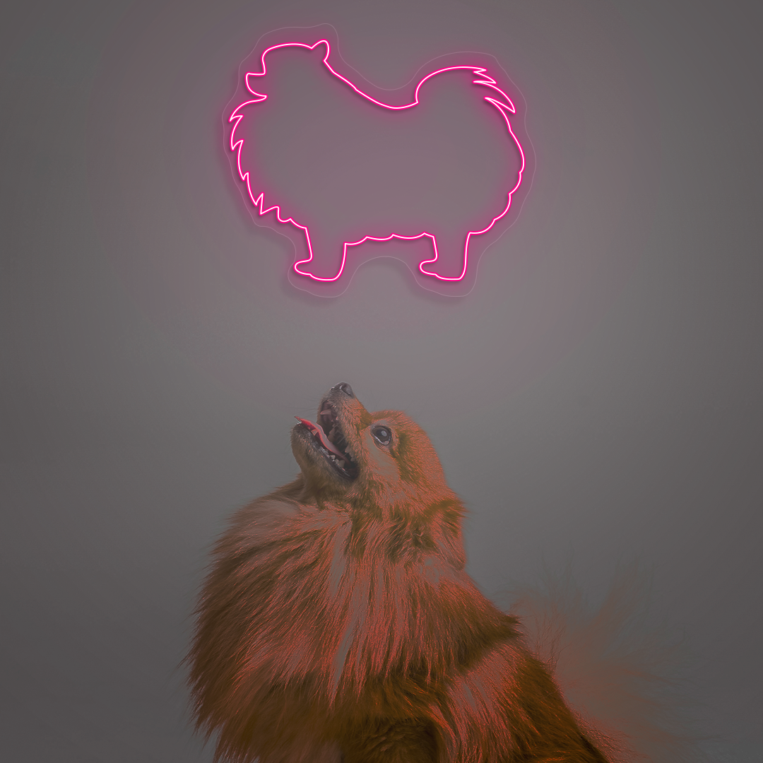 Pomeranian Neon Sign | Pink