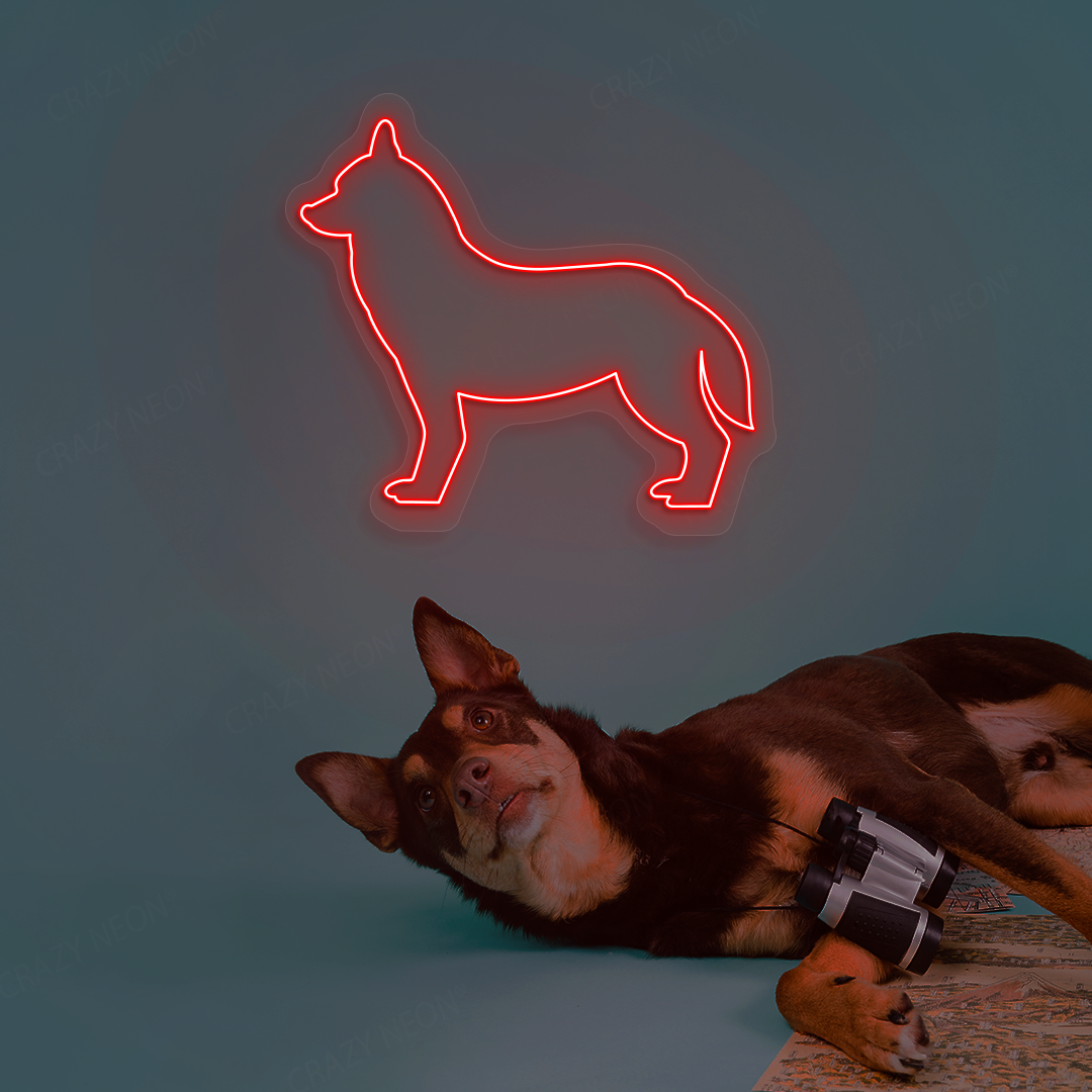 Husky Neon Sign | Red