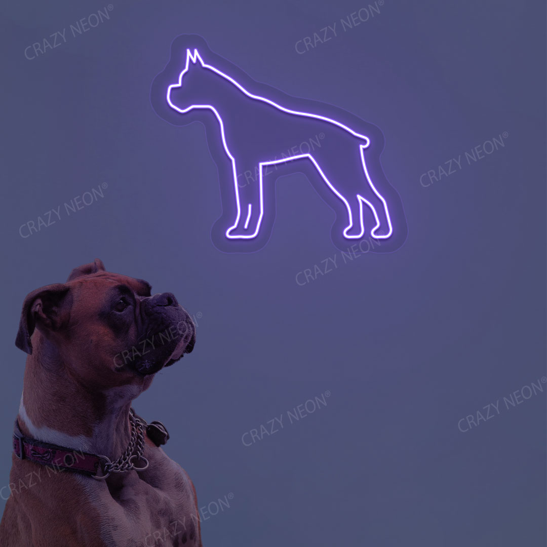 Boxer Dog Neon Sign | Purple