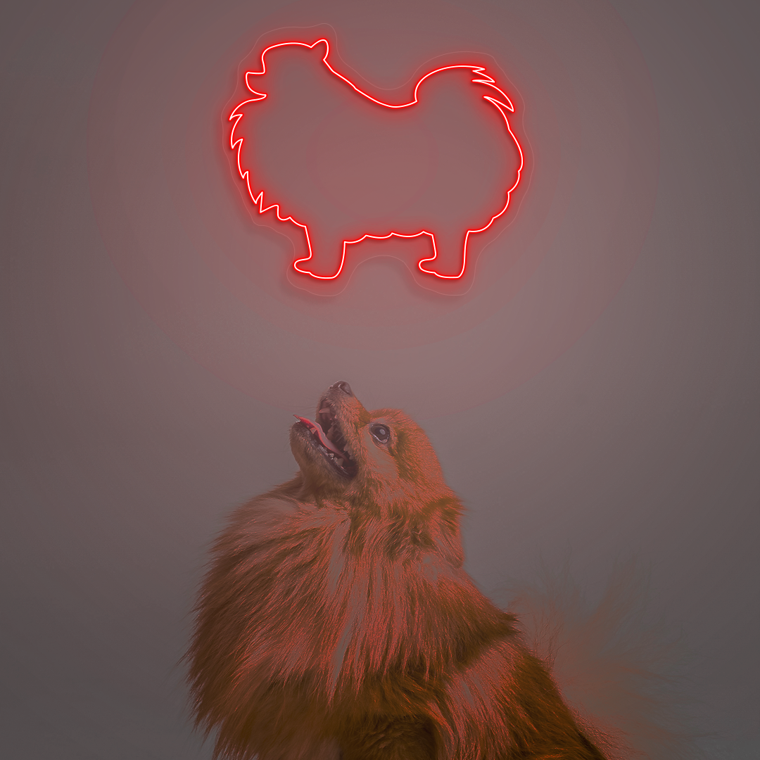 Pomeranian Neon Sign | Red