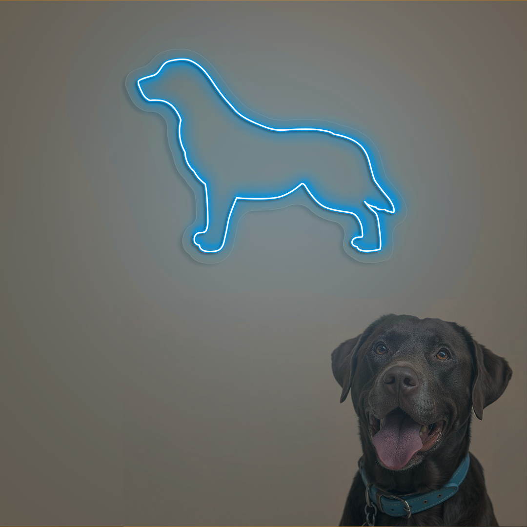 Labrador Neon Sign | Iceblue