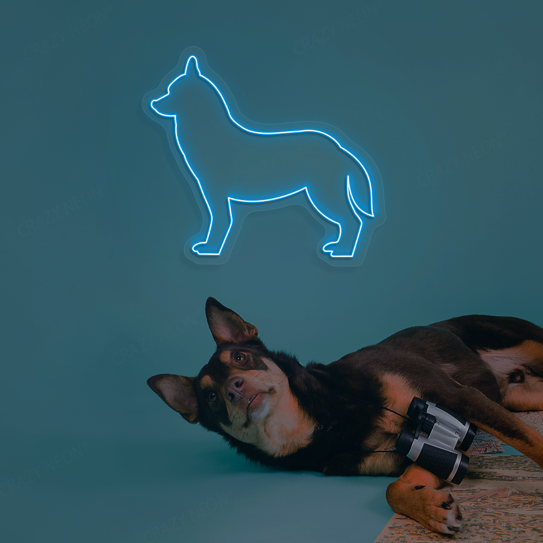 Husky Neon Sign | Iceblue
