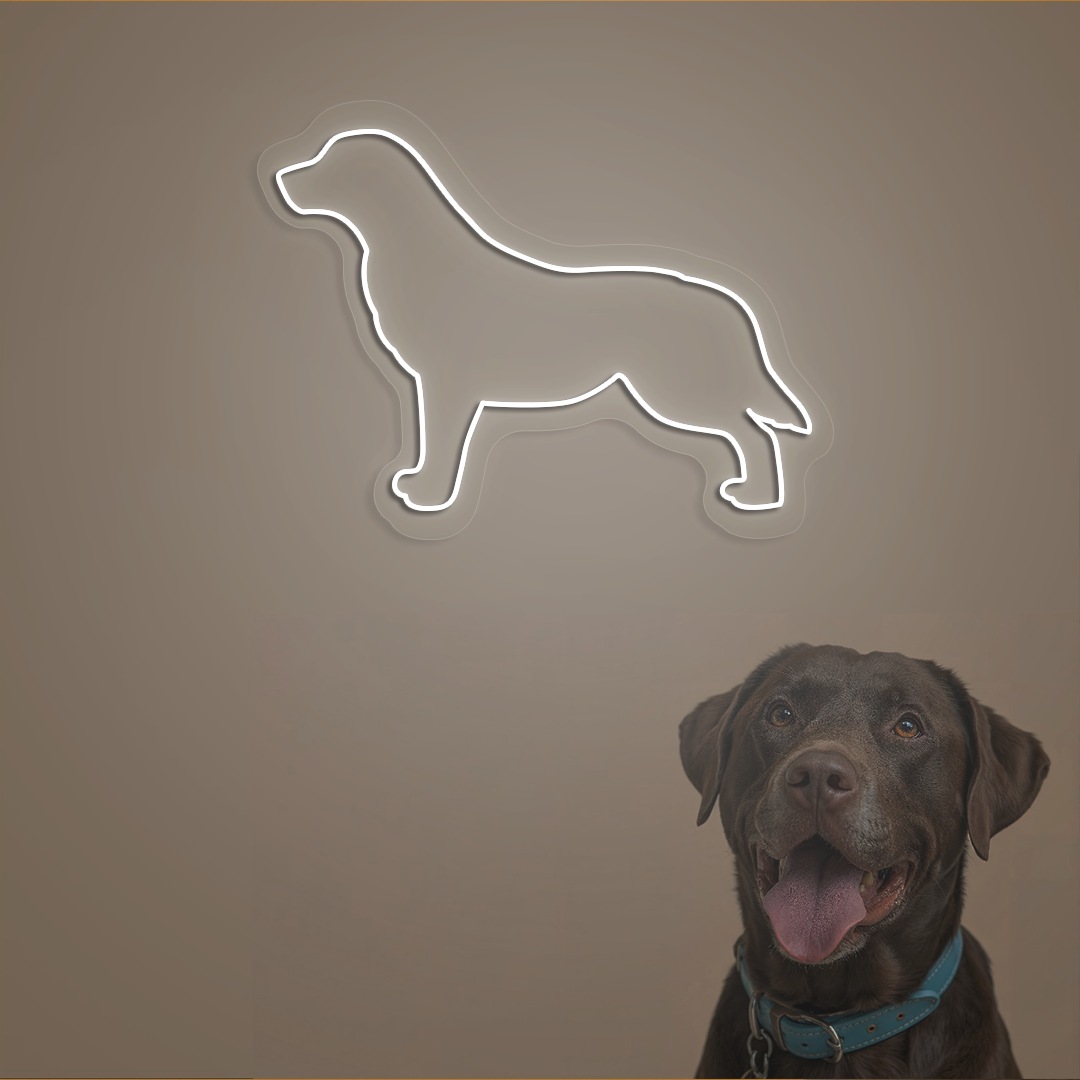 Labrador Neon Sign | White