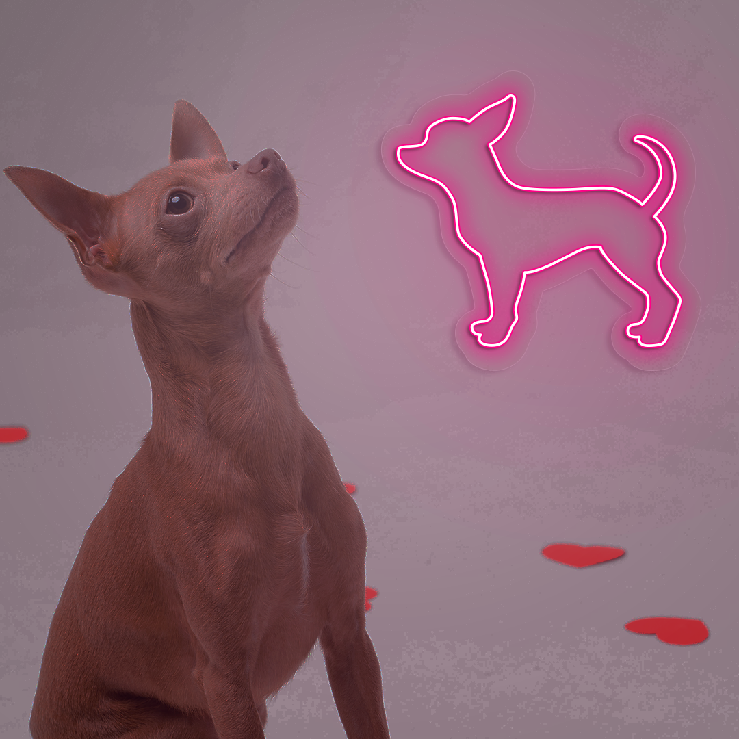 Chihuahua Neon Sign | Pink