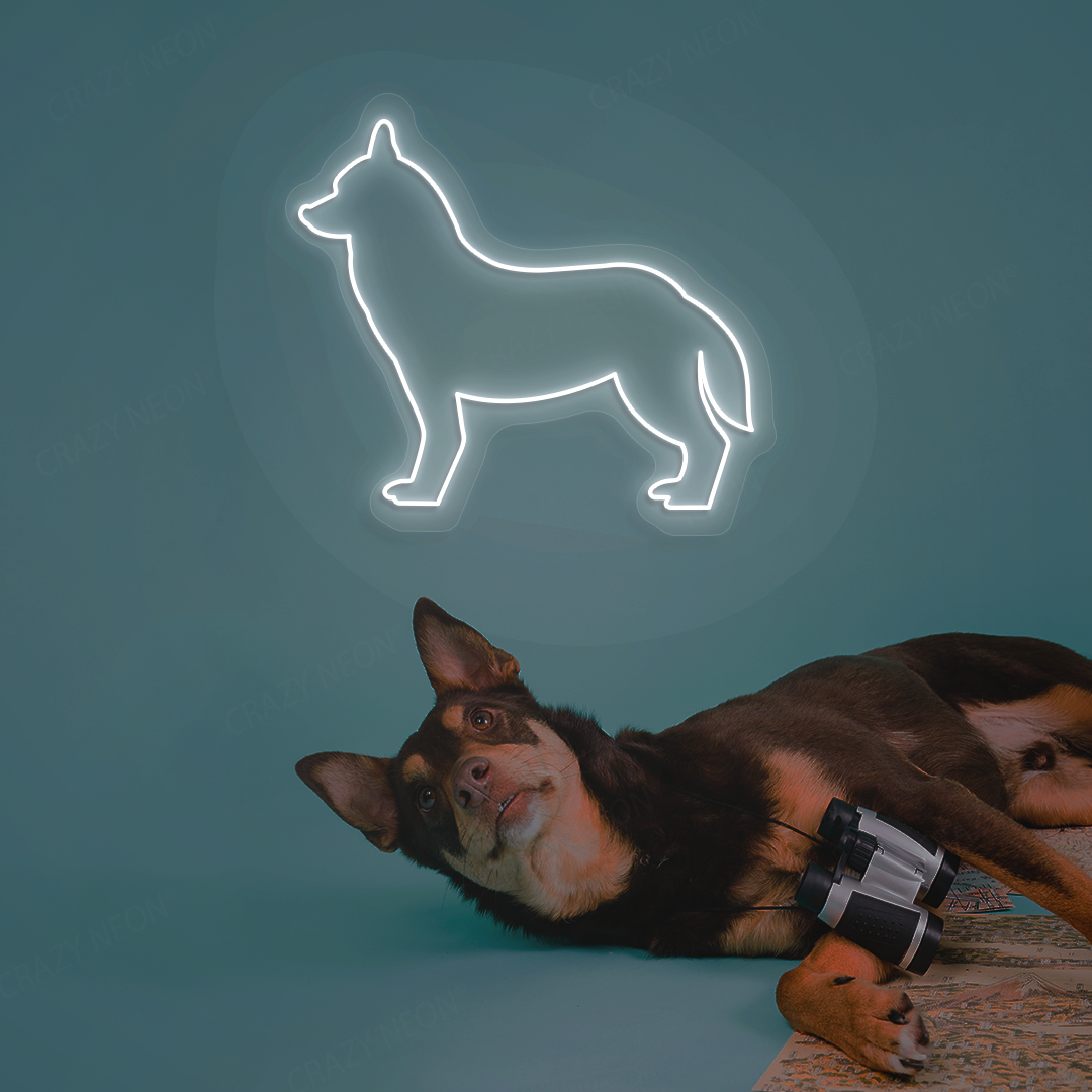 Husky Neon Sign | White