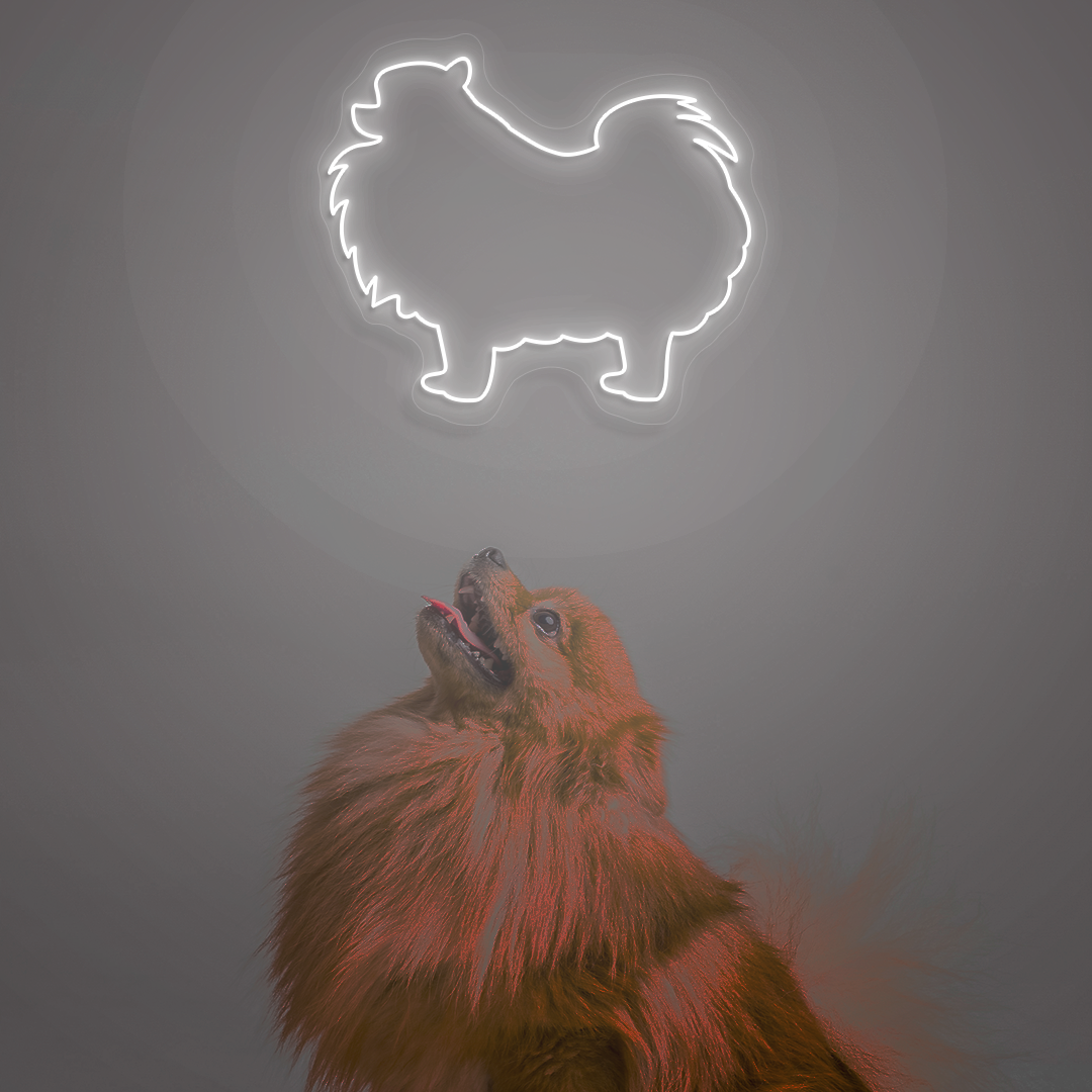 Pomeranian Neon Sign | Warmwhite