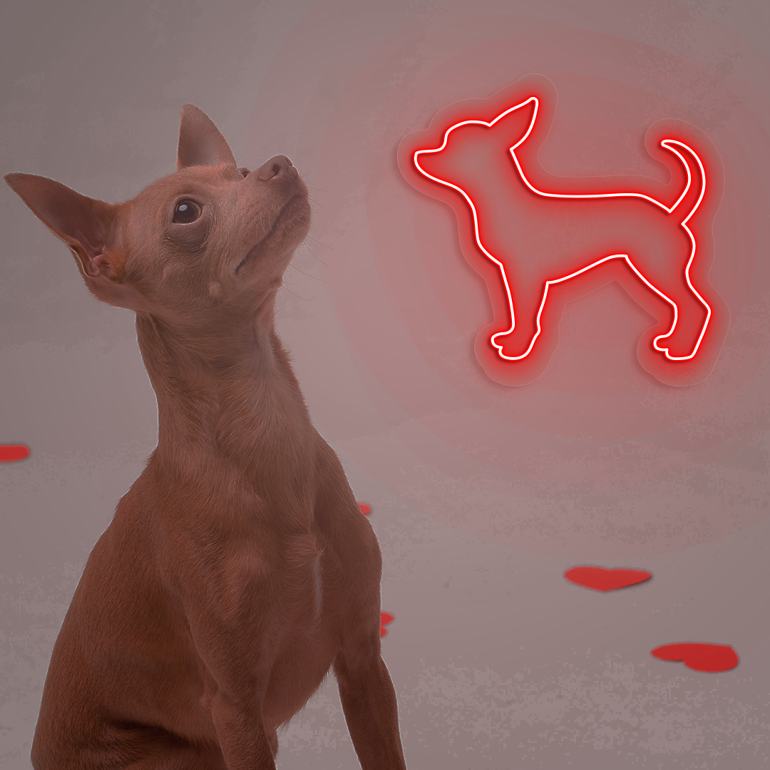 Chihuahua Neon Sign | Red