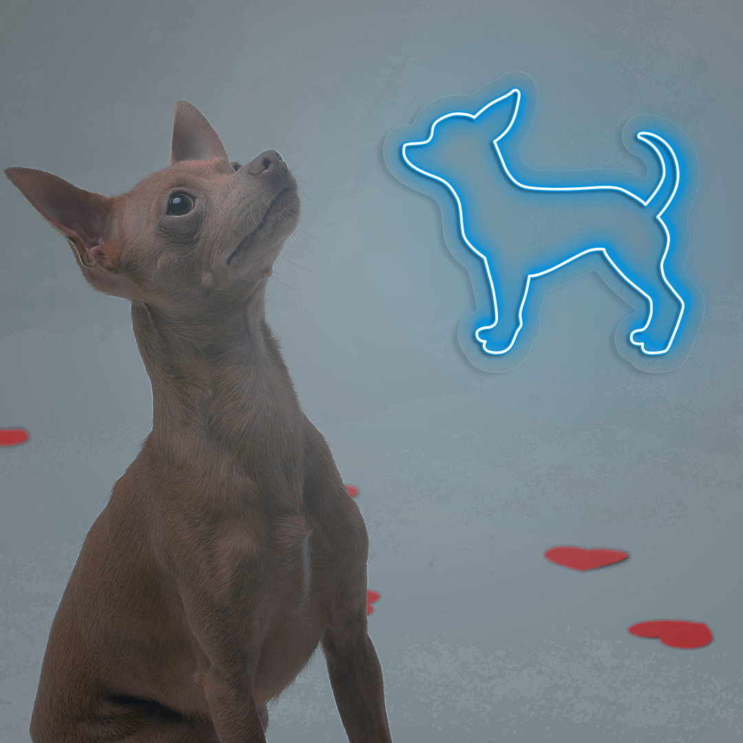 Chihuahua Neon Sign | Iceblue