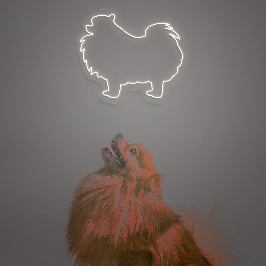 Pomeranian Neon Sign | White