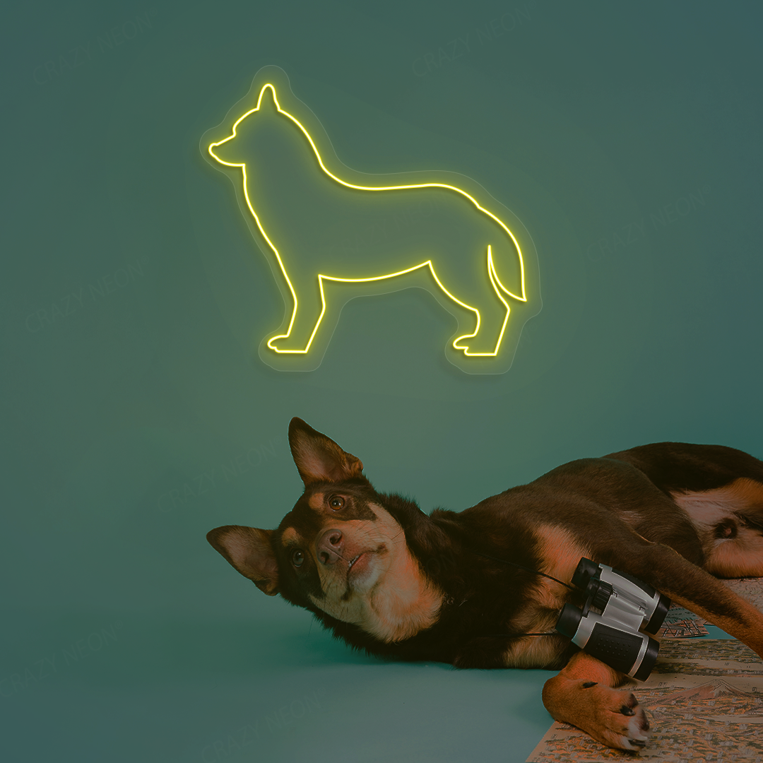 Husky Neon Sign | Yellow