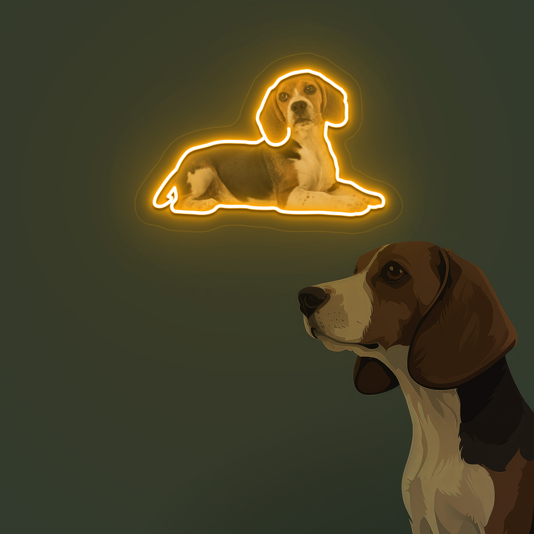 Beagle Neon Artwork | Orange