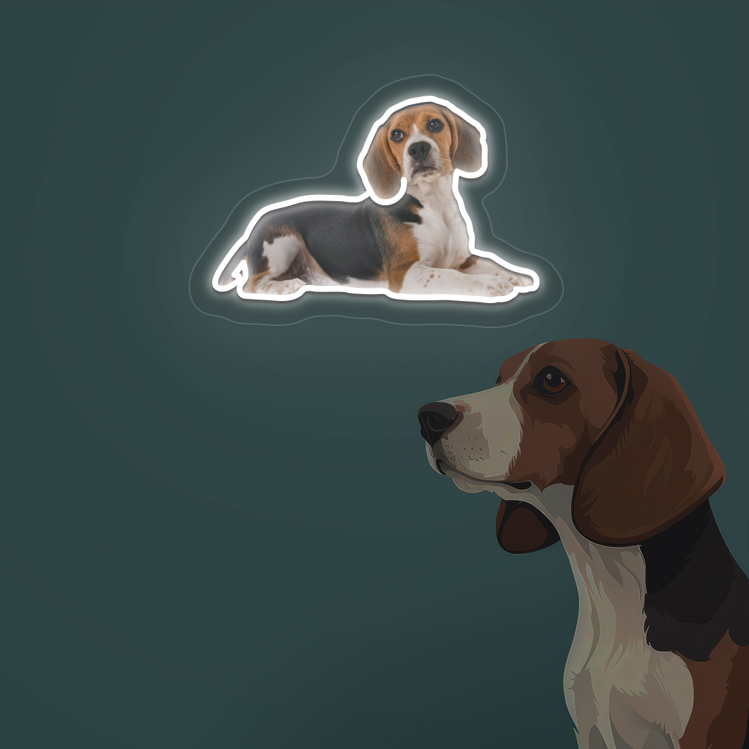 Beagle Neon Artwork | Warmwhite