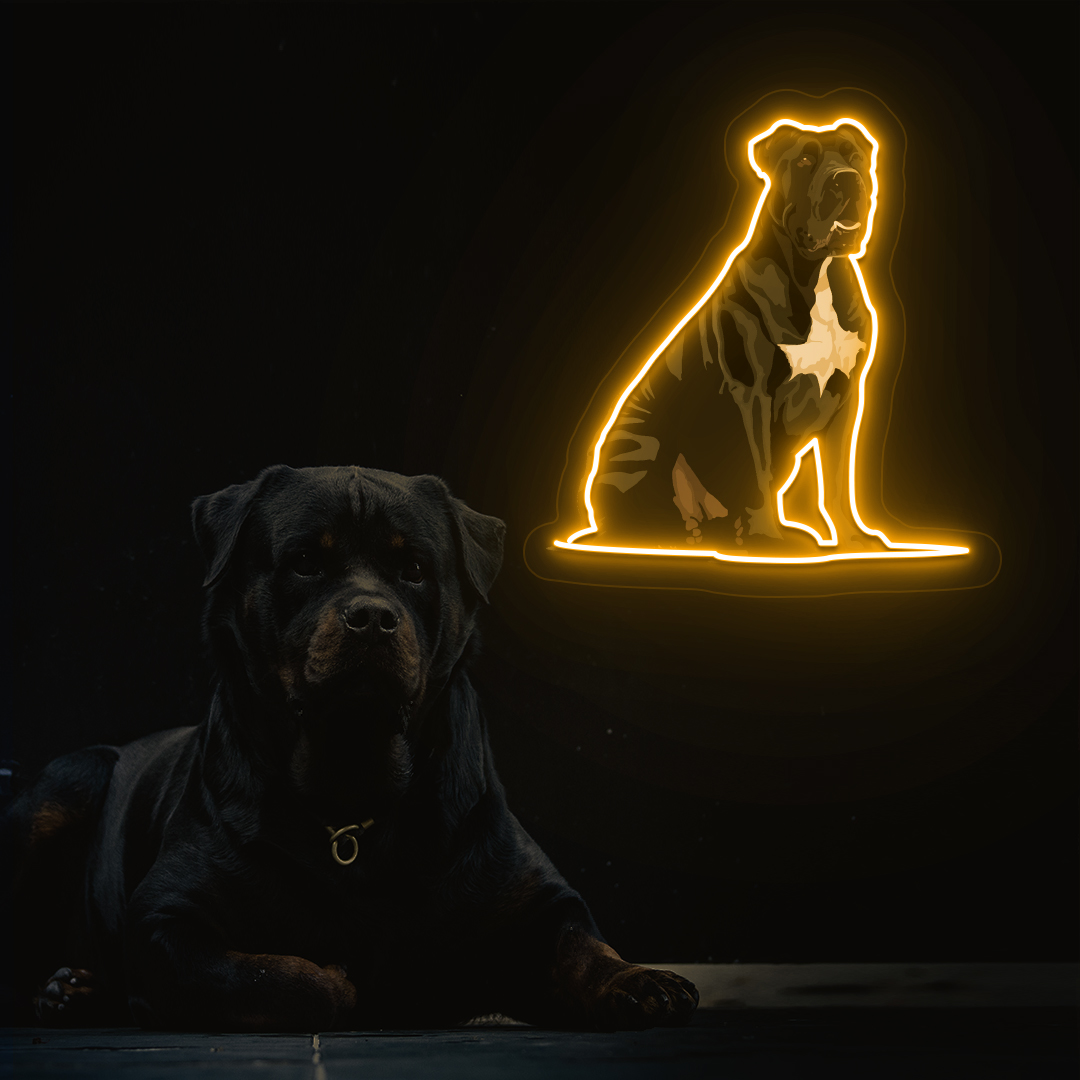 Cane Corso Neon Artwork | Orange