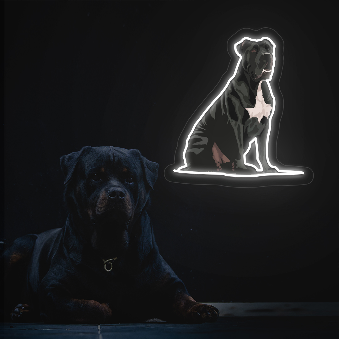 Cane Corso Neon Artwork | Warmwhite