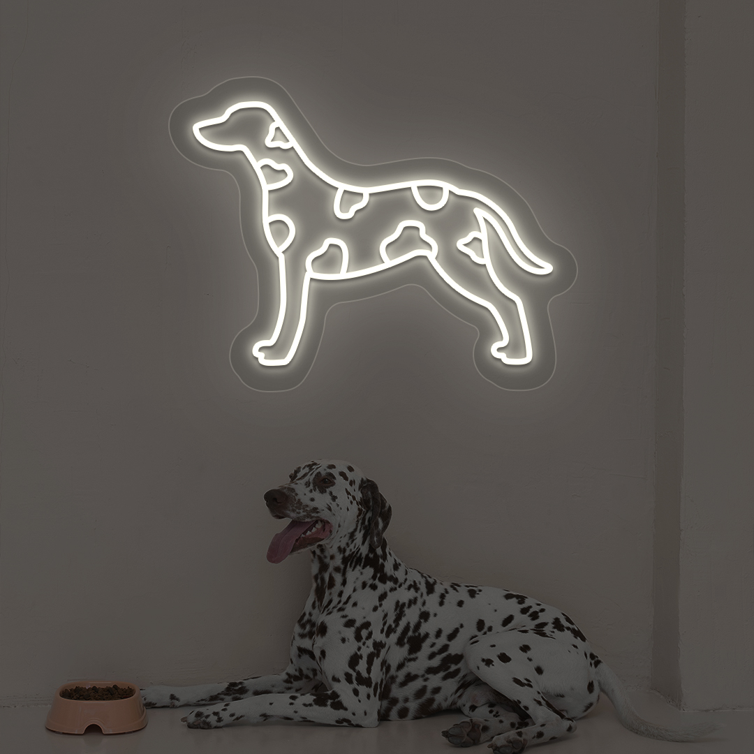 Dalmatian Dog Neon Sign | Warmwhite