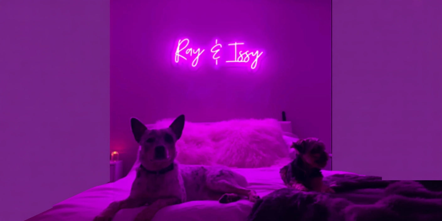 Ray and Issy pink neon sign above cozy bed with dogs in a purple-lit modern bedroom