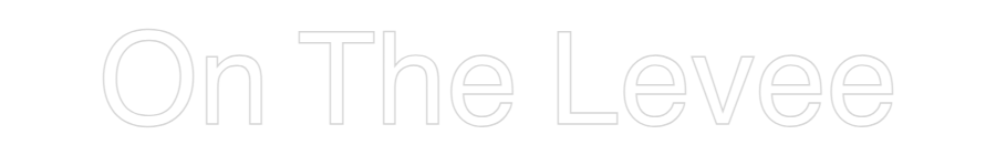 CN LED NEON: On The Levee