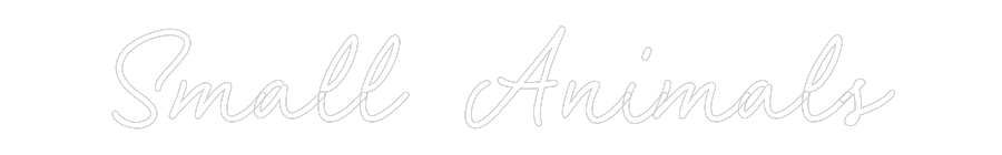 CN LED NEON: Small Animals