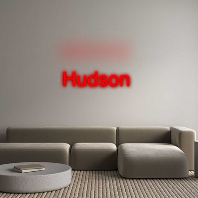 CN LED NEON: Hudson
