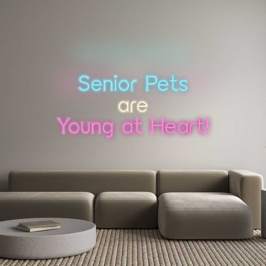 CN LED NEON: Senior Pets
...
