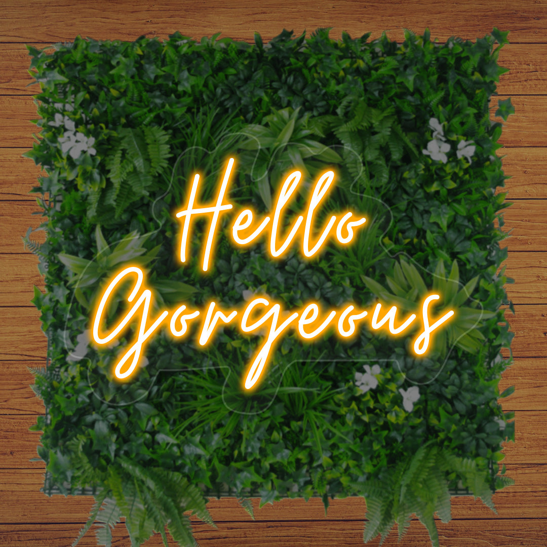 Hello Gorgeous Neon Sign | CNUS012449 | Orange
