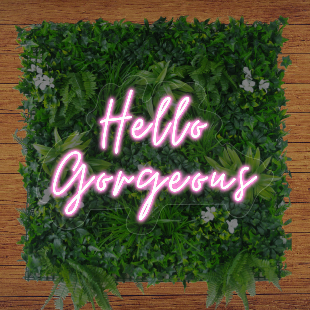 Hello Gorgeous Neon Sign | CNUS012449 | Pink