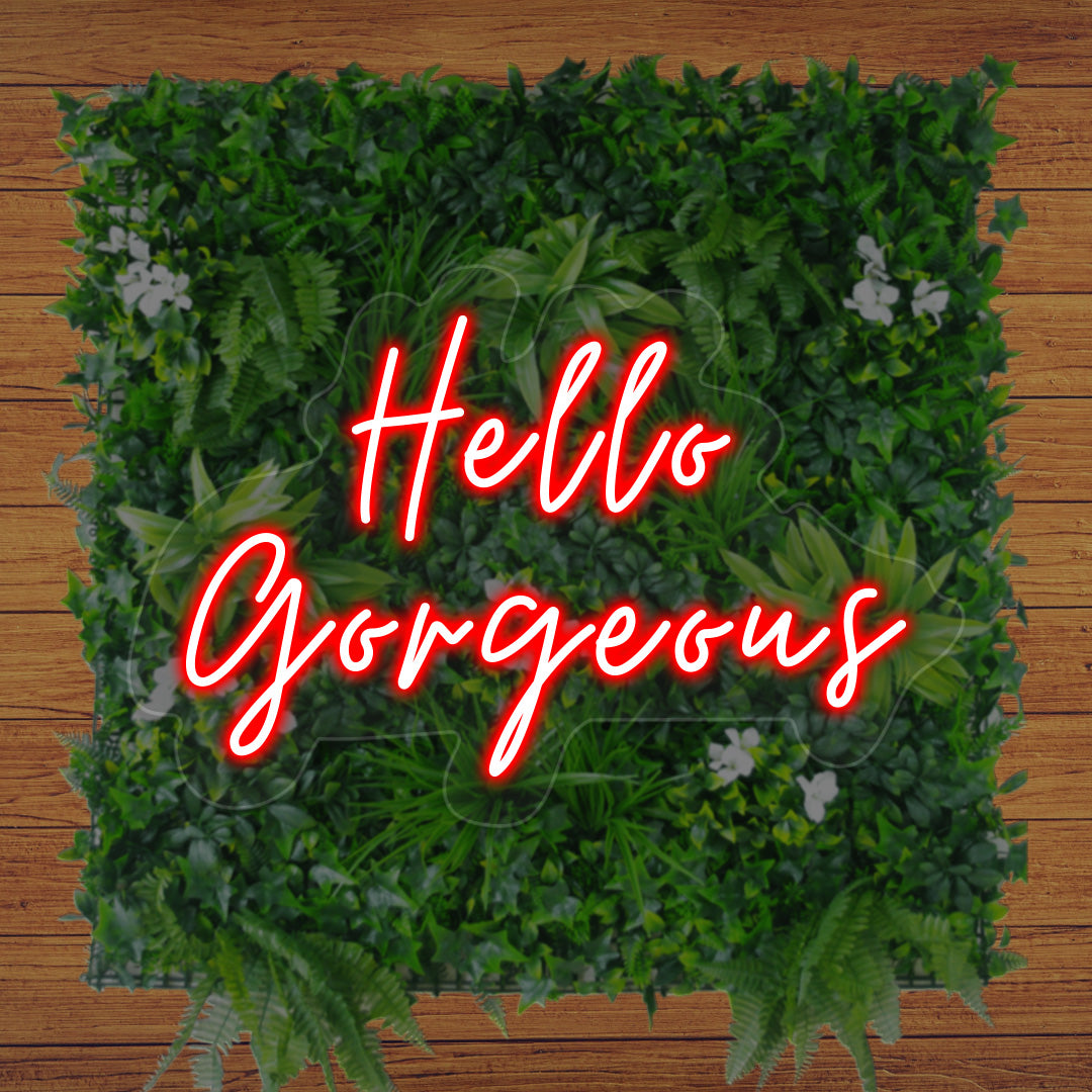 Hello Gorgeous Neon Sign | CNUS012449 | Red