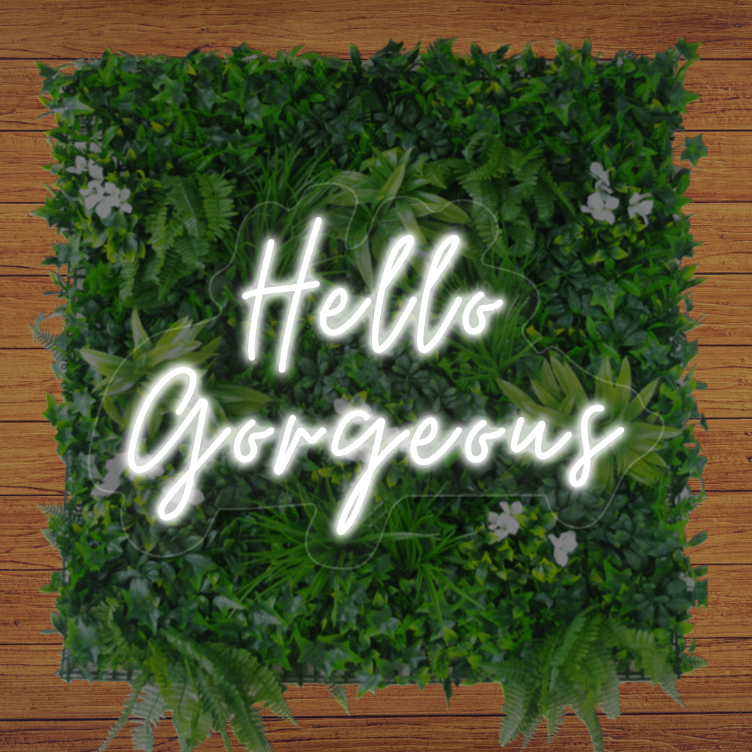 Hello Gorgeous Neon Sign | CNUS012449 | White