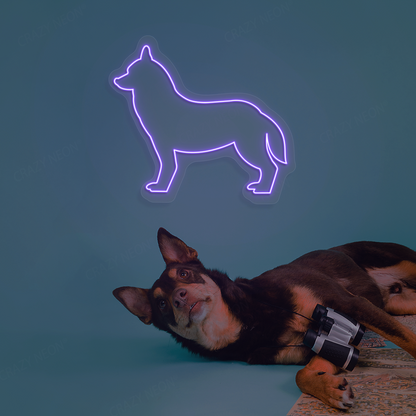 Husky Neon Sign | Purple