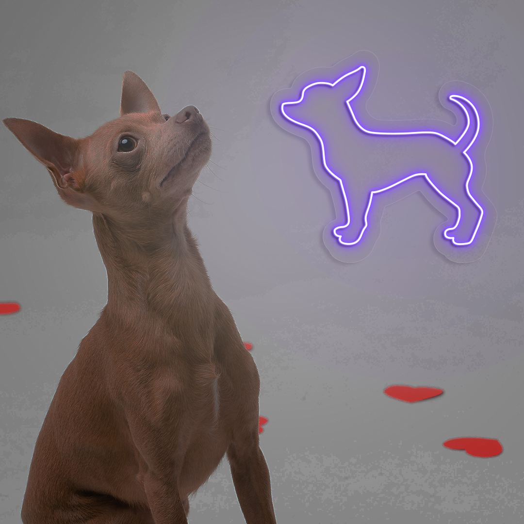 Chihuahua Neon Sign | Purple